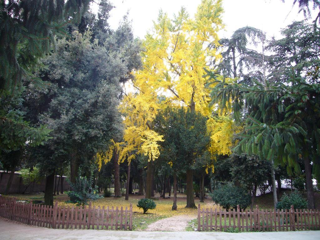 Villa Altieri Albano Laziale Exterior photo