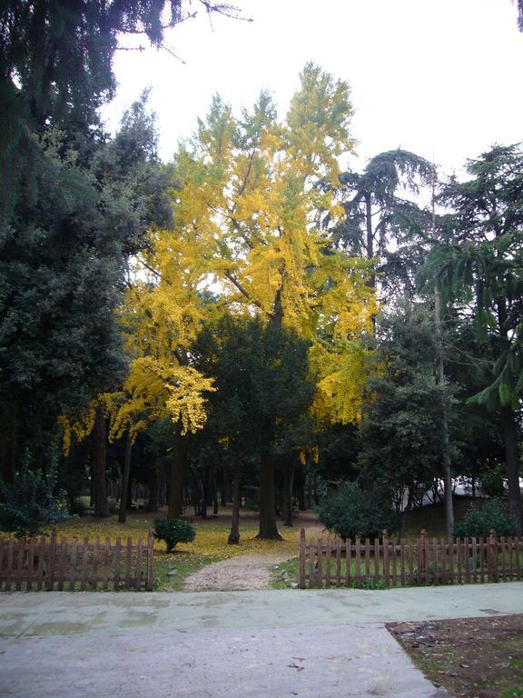 Villa Altieri Albano Laziale Exterior photo