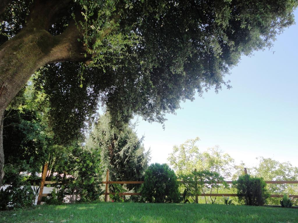 Villa Altieri Albano Laziale Exterior photo